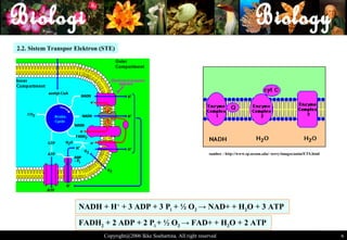 2.2. Sistem Transpor Elektron (STE)




                                                                             sumber : http://www.sp.uconn.edu/~terry/images/anim/ETS.html




                      NADH + H+ + 3 ADP + 3 Pi + ½ O2 → NAD+ + H2O + 3 ATP

                      FADH2 + 2 ADP + 2 Pi + ½ O2 → FAD+ + H2O + 2 ATP
                               Copyright@2006 Ikke Soehartina. All right reserved                                                           6 6
 