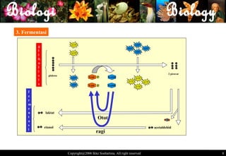 3. Fermentasi

                            ATP                                          ADP
         g                                                        ADP          ADP
         l                                                               ADP
                            ATP
         i
         k
         o
         l
         i
                                                                                              2 piruvat
         s      glukosa
                                        NAD P         NADH
                            ADP            +
                                                                         ATP
         i                                                         ATP         ATP
         s                  ADP         NAD+   P      NADH               ATP

     f
     e
     r
     m
     e
     n       laktat
     t                                         Otot                                        CO2
     a
     s
             etanol                                                                  acetaldehid
     i
                                               ragi



                          Copyright@2006 Ikke Soehartina. All right reserved                              8 8
 