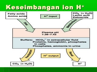 Keseimbangan ion HKeseimbangan ion H++
 