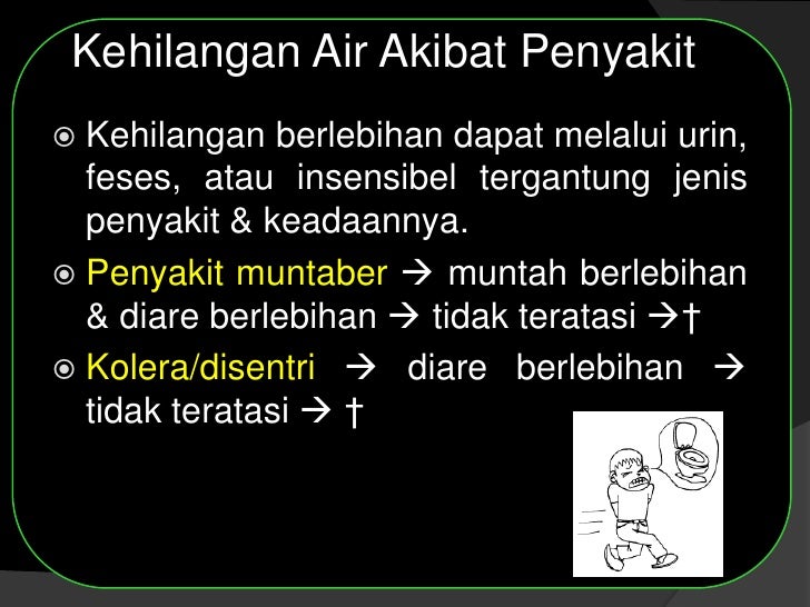 Metabolisme air dan mineral