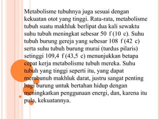 Metabolisme tubuhnya juga sesuai dengan
kekuatan otot yang tinggi. Rata-rata, metabolisme
tubuh suatu makhluk berlipat dua kali sewaktu
suhu tubuh meningkat sebesar 50 f (10 c). Suhu
tubuh burung gereja yang sebesar 108 f (42 c)
serta suhu tubuh burung murai (turdus pilaris)
setinggi 109,4 f (43,5 c) menunjukkan betapa
cepat kerja metabolisme tubuh mereka. Suhu
tubuh yang tinggi seperti itu, yang dapat
membunuh makhluk darat, justru sangat penting
bagi burung untuk bertahan hidup dengan
meningkatkan penggunaan energi, dan, karena itu
pula, kekuatannya.

 