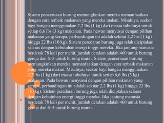 Sistem pencernaan burung memungkinkan mereka memanfaatkan
dengan cara terbaik makanan yang mereka makan. Misalnya, seekor
bayi bangau menggunakan 2,2 lbs (1 kg) dari massa tubuhnya untuk
setiap 6,6 lbs (3 kg) makanan. Pada hewan menyusui dengan pilihan
makanan yang serupa, perbandingan ini adalah sekitar 2,2 lbs (1 kg)
hingga 22 lbs (10 kg). Sistem peredaran burung juga telah diciptakan
selaras dengan kebutuhan energi tinggi mereka. Jika jantung manusia
berdetak 78 kali per menit, jumlah detakan adalah 460 untuk burung
gereja dan 615 untuk burung murai. Sistem pencernaan burung
memungkinkan mereka memanfaatkan dengan cara terbaik makanan
yang mereka makan. Misalnya, seekor bayi bangau menggunakan
2,2 lbs (1 kg) dari massa tubuhnya untuk setiap 6,6 lbs (3 kg)
makanan. Pada hewan menyusui dengan pilihan makanan yang
serupa, perbandingan ini adalah sekitar 2,2 lbs (1 kg) hingga 22 lbs
(10 kg). Sistem peredaran burung juga telah diciptakan selaras
dengan kebutuhan energi tinggi mereka. Jika jantung manusia
berdetak 78 kali per menit, jumlah detakan adalah 460 untuk burung
gereja dan 615 untuk burung murai.

 