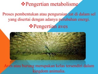 Pengertian metabolisme
Proses pembentukan atau penguraian zat di dalam sel
yang disertai dengan adanya perubahan energi.

Pengertian aves

Aves atau burung merupakan kelas tersendiri dalam
kingdom animalia.

 