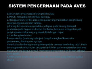 SISTEM PENCERNAAN PADA AVES

 