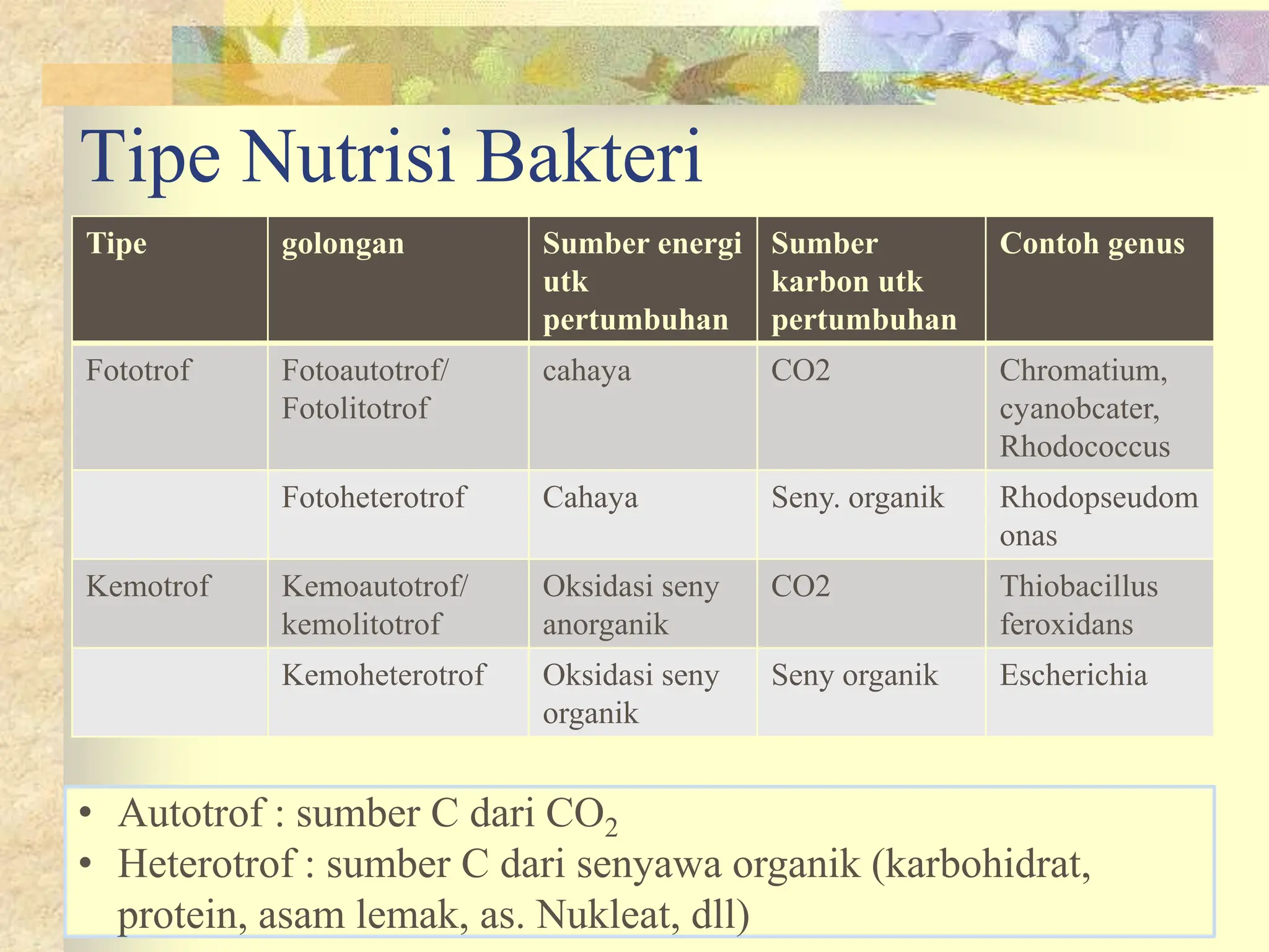 Siklus Metabolisme Yang Terjadi Pada Suatu Bakteri | PPT