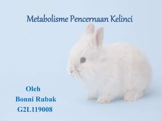 Metabolisme Pencernaan Kelinci
Oleh
Bonni Rubak
G2L119008
 