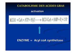 CATABOLISME DES ACIDES GRAS
        activation




ENZYME = Acyl coA synthétase
 