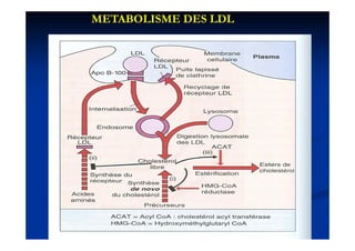 METABOLISME DES LDL
 