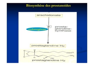 Biosynthèse des prostanoides




 cyclooxygénase
 