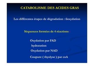 CATABOLISME DES ACIDES GRAS


Les différentes é
L diffé         étapes d dé d i : ß d i
                       de dégradation ßoxydation



       Séquences formées de 4 réactions :
         q

           Oxydation par FAD
            hydratation
            Oxydation par NAD

           Coupure ( thyolyse ) par coA
 