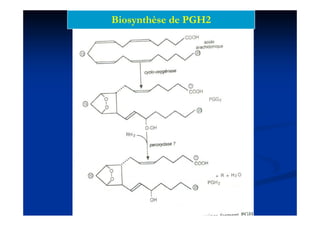 Biosynthèse de PGH2
 