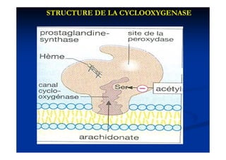STRUCTURE DE LA CYCLOOXYGENASE
 