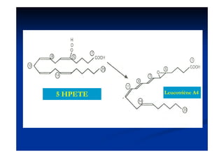 5 HPETE   Leucotriène A4
 