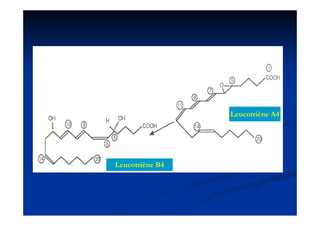 Leucotriène A4
                 L    t iè




Leucotriène B4
 