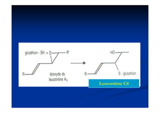 Leucotriène C4
L      iè
 