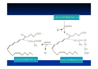 LEUCOTRIENE C4




LEUCOTRIENE E4      LEUCOTRIENE D4
 