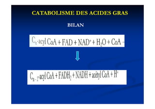 CATABOLISME DES ACIDES GRAS

         BILAN
 