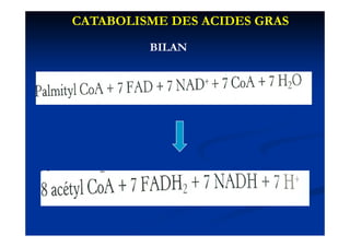CATABOLISME DES ACIDES GRAS
         BILAN
 