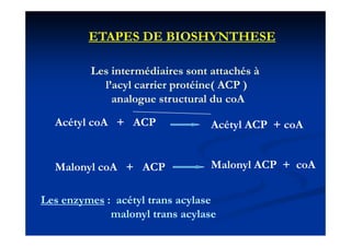 ETAPES DE BIOSHYNTHESE

         Les intermédiaires sont attachés à
         L i        édi i             hé
           l’acyl carrier protéine( ACP )
             analogue structural d coA
                 l               l du A

  Acétyl coA + ACP               Acétyl
                                 Acét l ACP + coA


  Malonyl coA + ACP              Malonyl ACP + coA


Les enzymes : acétyl trans acylase
             malonyl trans acylase
 