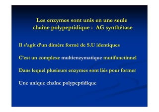 Les enzymes sont unis en une seule
     chaîne polypeptidique : AG synthétase
            p yp p q             y

Il s’agit d’ di è f
    ’ i d’un dimère formé d S U id i
                        é de S.U identiques

C’est
C’ un complexe multienzymatique mutifonctinnel
          l      li        i       if    i   l

Dans l
D    lequel plusieurs enzymes sont lié pour f
          l l i                    liés     former

Une i
U unique chaîne polypeptidique
          h î     l     idi
 