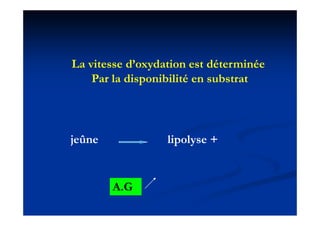 La it
L vitesse d’oxydation est déterminée
          d’ d ti        t dét    i é
   Par la disponibilité en substrat




jeûne             lipolyse +


        A.G
 