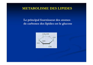 METABOLISME DES LIPIDES


Le principal fournisseur des atomes
de carbones des lipides est le g
                  p            glucose
 