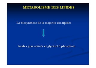 METABOLISME DES LIPIDES



La biosynthèse de la majorité des lipides




Acides gras activés et glycérol 3 phosphate
 