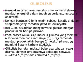 Fakta Unik Senyawa Glukosa dalam Energi Tubuh