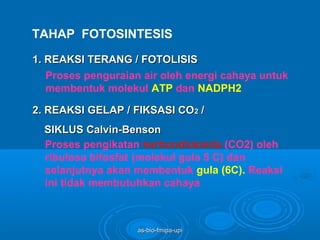 TAHAP FOTOSINTESIS

1. REAKSI TERANG / FOTOLISIS
   Proses penguraian air oleh energi cahaya untuk
   membentuk molekul ATP dan NADPH2

2. REAKSI GELAP / FIKSASI CO2 /
  SIKLUS Calvin-Benson
  Proses pengikatan karbondioksida (CO2) oleh
  ribulosa bifosfat (molekul gula 5 C) dan
  selanjutnya akan membentuk gula (6C). Reaksi
  ini tidak membutuhkan cahaya



                    as-bio-fmipa-upi
 