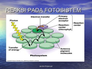 REAKSI PADA FOTOSISTEM




         as-bio-fmipa-upi
 