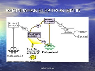 PEMINDAHAN ELEKTRON SIKLIK




            as-bio-fmipa-upi
 