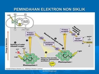PEMINDAHAN ELEKTRON NON SIKLIK




            as-bio-fmipa-upi
 