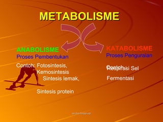 METABOLISME

ANABOLISME                                KATABOLISME
Proses Pembentukan                        Proses Penguraian
Contoh: Fotosintesis,                     Contoh : Sel
                                          Respirasi
        Kemosintesis
          Sintesis lemak,                 Fermentasi

        Sintesis protein


                       as-bio-fmipa-upi
 