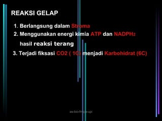 REAKSI GELAP

1. Berlangsung dalam Stroma
2. Menggunakan energi kimia ATP dan NADPH2
  hasil reaksi terang
3. Terjadi fiksasi CO2 ( 1C) menjadi Karbohidrat (6C)




                      as-bio-fmipa-upi
 