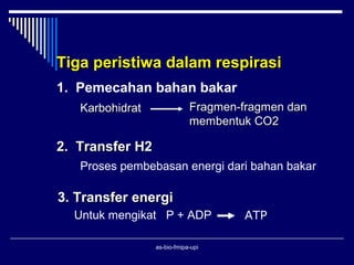 Tiga peristiwa dalam respirasi
1. Pemecahan bahan bakar
   Karbohidrat               Fragmen-fragmen dan
                             membentuk CO2

2. Transfer H2
   Proses pembebasan energi dari bahan bakar

3. Transfer energi
  Untuk mengikat P + ADP             ATP

                 as-bio-fmipa-upi
 