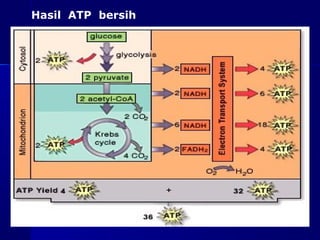 Hasil ATP bersih




                   as-bio-fmipa-upi
 