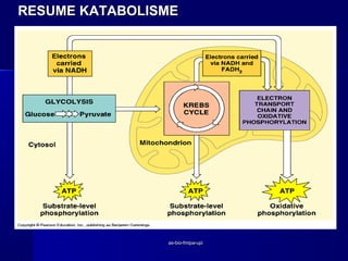 RESUME KATABOLISME




                as-bio-fmipa-upi
 