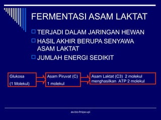 FERMENTASI ASAM LAKTAT
               TERJADI DALAM JARINGAN HEWAN
               HASIL AKHIR BERUPA SENYAWA
                ASAM LAKTAT
               JUMLAH ENERGI SEDIKIT


Glukosa           Asam Piruvat (C)               Asam Laktat (C3) 2 molekul
                                                 menghasilkan ATP 2 molekul
(1 Molekul)       1 molekul




                              as-bio-fmipa-upi
 