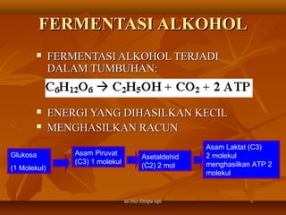 FERMENTASI ALKOHOL
             FERMENTASI ALKOHOL TERJADI
              DALAM TUMBUHAN:


             ENERGI YANG DIHASILKAN KECIL
             MENGHASILKAN RACUN
                                                        Asam Laktat (C3)
Glukosa           Asam Piruvat                          2 molekul
                                          Asetaldehid
                  (C3) 1 molekul                        menghasilkan ATP 2
(1 Molekul)                               (C2) 2 mol
                                                        molekul


                                   as-bio-fmipa-upi
 