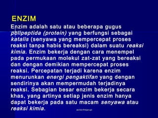 ENZIM
Enzim adalah satu atau beberapa gugus
polipeptida (protein) yang berfungsi sebagai
katalis (senyawa yang mempercepat proses
reaksi tanpa habis bereaksi) dalam suatu reaksi
kimia . Enzim bekerja dengan cara menempel
pada permukaan molekul zat-zat yang bereaksi
dan dengan demikian mempercepat proses
reaksi. Percepatan terjadi karena enzim
menurunkan energi pengaktifan yang dengan
sendirinya akan mempermudah terjadinya
reaksi. Sebagian besar enzim bekerja secara
khas, yang artinya setiap jenis enzim hanya
dapat bekerja pada satu macam senyawa atau
reaksi kimia .          as-bio-fmipa-upi
 