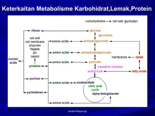 Keterkaitan Metabolisme Karbohidrat,Lemak,Protein




                     as-bio-fmipa-upi
 