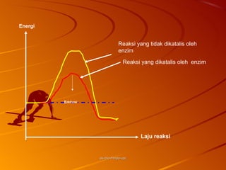 Energi


                                Reaksi yang tidak dikatalis oleh
                                enzim

                                  Reaksi yang dikatalis oleh enzim




         Eaktivasi




                                         Laju reaksi


                     as-bio-fmipa-upi
 