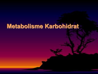 Metabolisme Karbohidrat
 