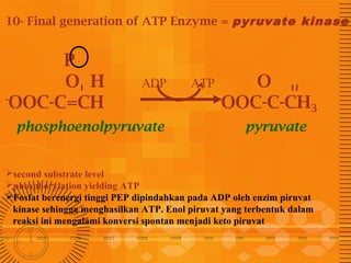 10- Final generation of ATP Enzyme = pyruvate kinase

P
O H
ADP
OOC-C=CH
 phosphoenolpyruvate

ATP

O
OOC-C-CH3
pyruvate

second substrate level
phosphorylation yielding ATP
Fosfat berenergi tinggi PEP dipindahkan pada ADP oleh enzim piruvat
kinase sehingga menghasilkan ATP. Enol piruvat yang terbentuk dalam
reaksi ini mengalami konversi spontan menjadi keto piruvat

 