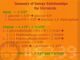 Summary of Energy Relationships
for Glycolysis 
Input = 2 ATP
 1. glucose + ATP  glucose-6-P
 2. fructose-6-P + ATP  fructose 1,6 diphosphate
Output = 4 ATP + 2 NADH
1. 2 glyceraldehyde 3-P + 2 Pi + 2 NAD+
2 (1,3 bisphosphoglycerate) + 2 NADH
2. 2 (1,3 bisphosphoglycerate) + 2 ADP
2 (3-P-glycerate) + 2 ATP
3. 2 PEP + 2 ADP  2 pyruvate + 2 ATP
Net

=

2 ATP and 2 NADH

 