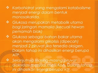  Karbohidrat yang mengalami katabolisme
menjadi energi dalam bentuk
monosakarida.
 Glukosa merupakan metabolik utama
bagi jaringan mamalia (kecuali hewan
pemamah biak)
 Glukosa sebagai bahan bakar utama
akan mengalami glikolisis (dipecah)
menjadi 2 piruvat jika tersedia oksigen.
Dalam tahap ini dihasilkan energi berupa
ATP.
 Selanjutnya masing-masing piruvat
dioksidasi menjadi asetil KoA. Dalam tahap
ini dihasilkan energi berupa ATP.

 
