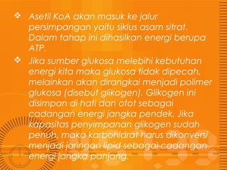  Asetil KoA akan masuk ke jalur
persimpangan yaitu siklus asam sitrat.
Dalam tahap ini dihasilkan energi berupa
ATP.
 Jika sumber glukosa melebihi kebutuhan
energi kita maka glukosa tidak dipecah,
melainkan akan dirangkai menjadi polimer
glukosa (disebut glikogen). Glikogen ini
disimpan di hati dan otot sebagai
cadangan energi jangka pendek. Jika
kapasitas penyimpanan glikogen sudah
penuh, maka karbohidrat harus dikonversi
menjadi jaringan lipid sebagai cadangan
energi jangka panjang.

 