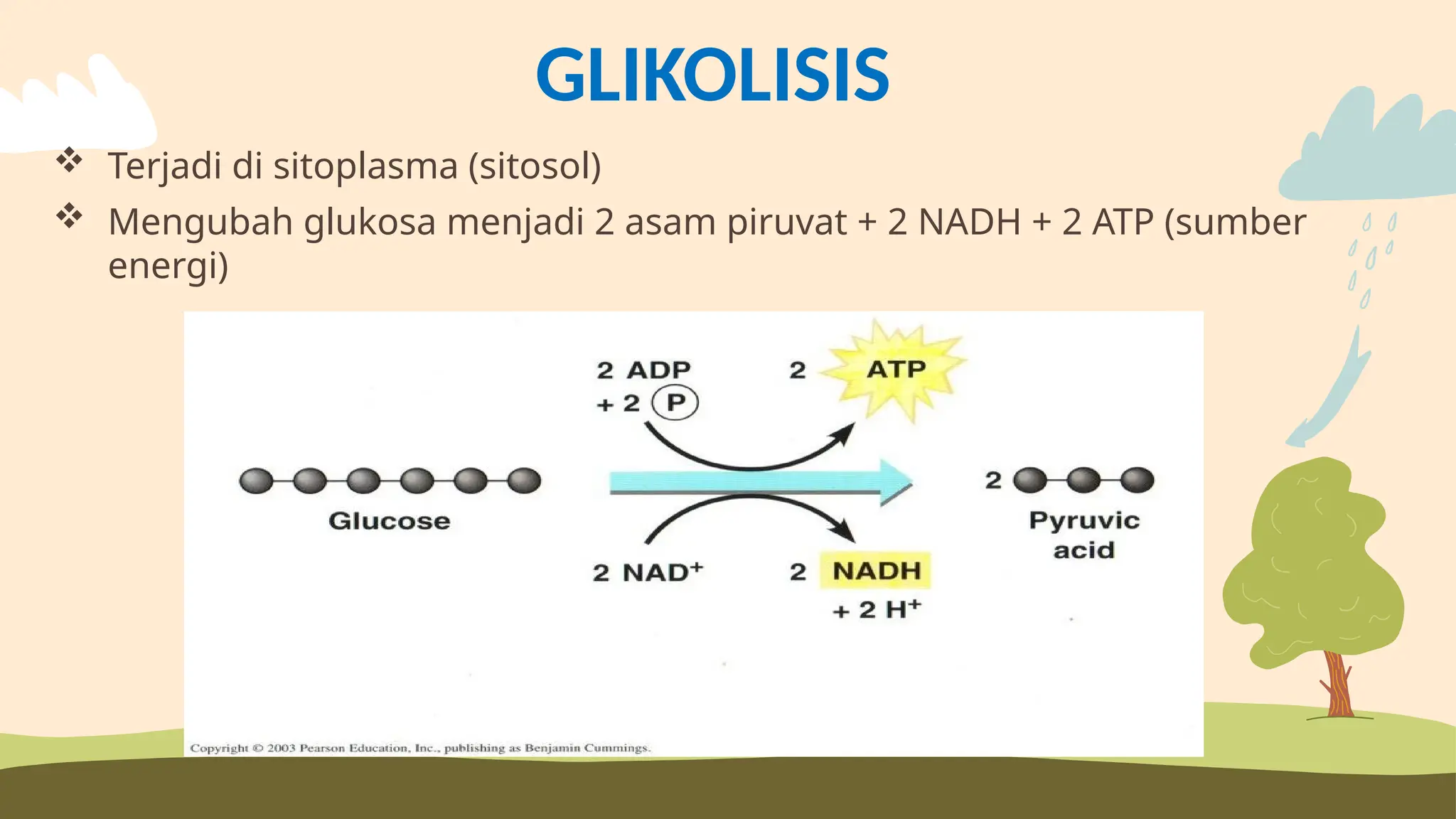 Proses Metabolisme Pada Makhluk Hidup KELAS XII.pptx