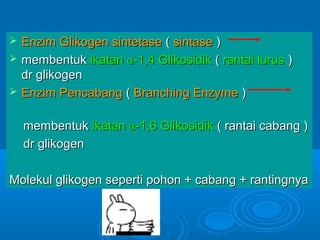    Enzim Glikogen sintetase ( sintase )
   membentuk ikatan α-1,4 Glikosidik ( rantai lurus )
    dr glikogen
   Enzim Pencabang ( Branching Enzyme )

    membentuk ikatan α-1,6 Glikosidik ( rantai cabang )
    dr glikogen

Molekul glikogen seperti pohon + cabang + rantingnya
 