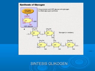 SINTESIS GLIKOGEN
 